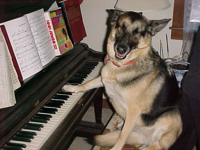 Love That Dog Training